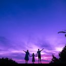 감성별빛투어 이미지