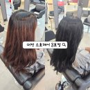소호로 | 대전 은행동 미용실 소호헤어 8호점 염색 후기