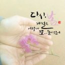 진달래세탁소 이미지