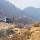 옥화 Daum카페