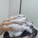오월의아침 콜레세라 피부과샴푸 사용 후기