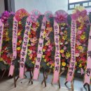 한국염소연구소 이미지