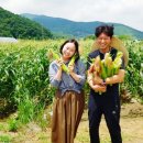 하농농장 이미지