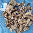 풍요의 계절 이미지