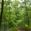 오늘따라청둥오리 이미지