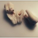 이건강치과의원 이미지