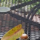헤이리로(2) 이미지