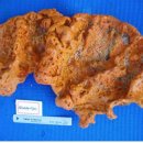 바다동물병원 이미지