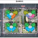 강릉 더퍼스트 이미지