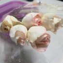 축협하나로마트 | 셀프부케만들기 지역농협 축협 하나로마트 꽃으로 저렴하게 연습하기