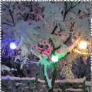 동해민박 이미지