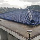 상선민박 이미지