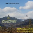 금환낙지
