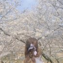 펀하모니카(4월) | 4월 국내 여행지 추천 경남 하동 십리벚꽃길 2박3일 여행 코스 명소