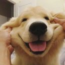 김용식농장 이미지