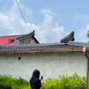 마르자하우스 이미지