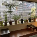 서울상회 이미지