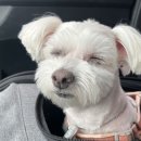 방배한강동물병원 이미지