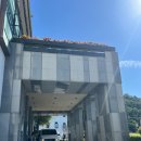 럭키휴게실 | 대만여행 더가이아호텔 프라이빗룸 베이터우 온천 럭키드로우 사용 후기