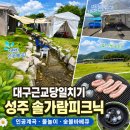 성주 | 대구 근교 당일치기 물놀이 추천｜성주 솔가람피크닉 솔직후기