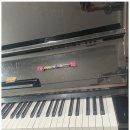 숙명더피아노학원 이미지