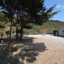 왕피천관광농원 이미지