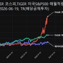 비엔비글로벌