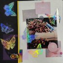 PET.꾸밈 이미지