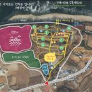 평화강변 수목캠핑장 | 파주 평화강변수목캠핑장 리얼후기