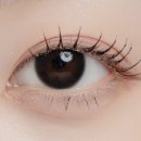 렌즈미 누오 블랙 13.5 후기