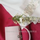 삼보주단