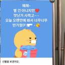 챙이날골 | 찰나의 허무함보다 찬란함에 경탄하는 🌸 벚꽃주간