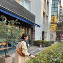 썸머포레스트
