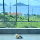 라디언트406 이미지