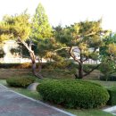 유신주단 Daum카페