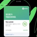 신화로36번길(3-230) | 제주 여행 단체숙소 신화월드 서머셋 스위트 (6명 8명 호텔), 아침미소목장, 어린왕자감귤밭 동물원...