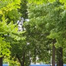 대신SELF주유소 이미지