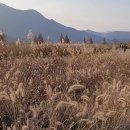 낙동강체육공원 야구장화장실 이미지