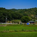 마을회관 정자옆 이미지