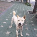 공덕119안전센터 이미지