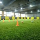 스타유소년축구교실 네이버블로그