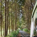 수산돌담채 | 제주도 1박 골프여행 (feat. 골프여행 펜션 숙소 제주 수산돌담채)