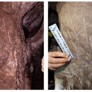 무덤의 흔적 이미지