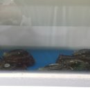 동대구수산 이미지