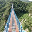 섬강농장 이미지