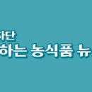 YC인터내셔날 이미지