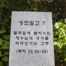 황새바위 순교 성지 이미지