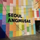 세렌디파이브
