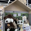 몰리스펫샵 스타필드시티 위례점 이미지