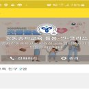 찐교육